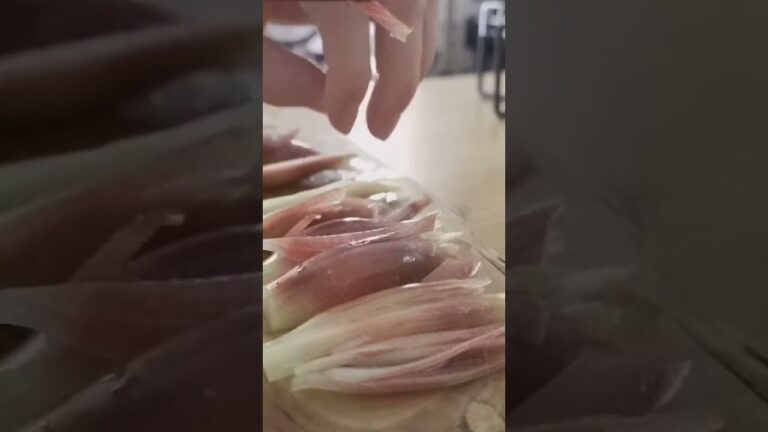 みょうがの美味しさ #料理 #レシピ #料理動画 #cooking #簡単レシピ #味噌汁