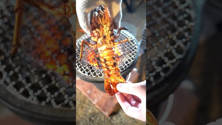 【七輪】伊勢海老の炭火焼きがうますぎる！　#asmr #seafood #魚捌き #bbq #lobster