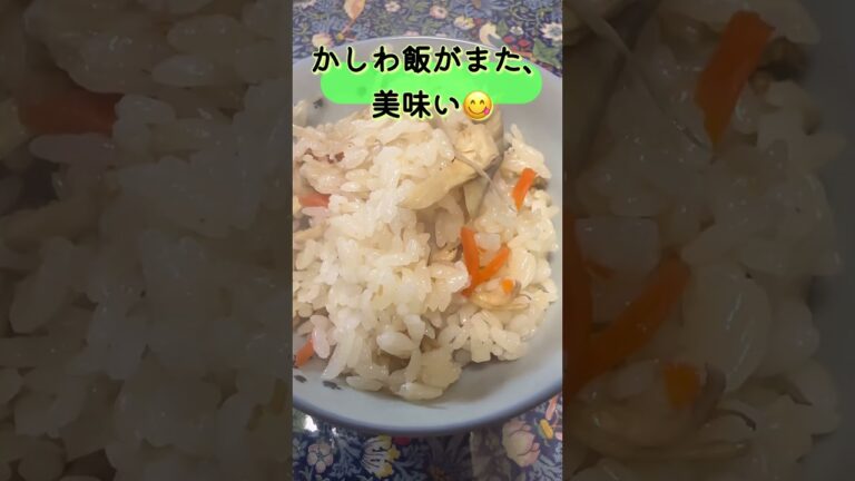 肉肉肉…🥩🥩おとさんの牛肉しぐれ煮風とかしわ飯が、マジたまらんの巻#shorts