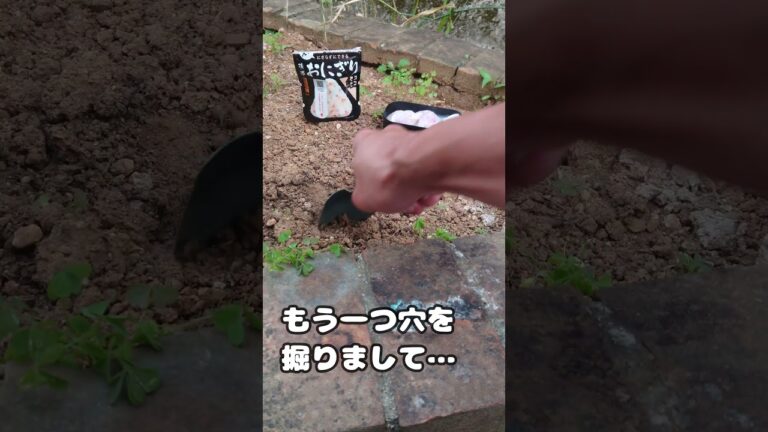 シーフードカレー作り方