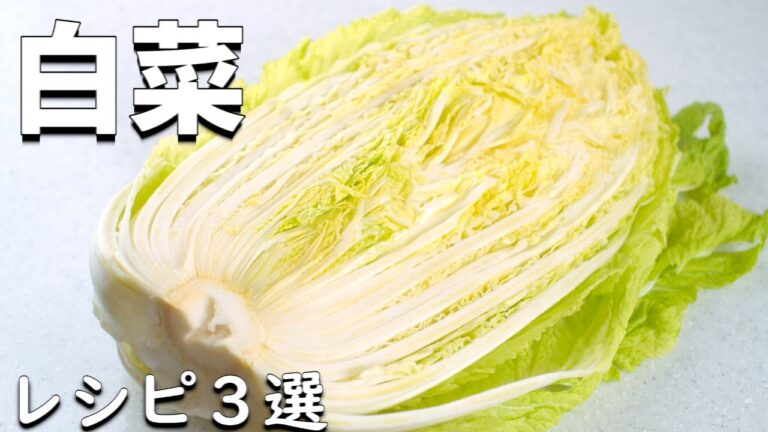 白菜 を使った簡単 レシピ3選  白菜を美味しく使う方法