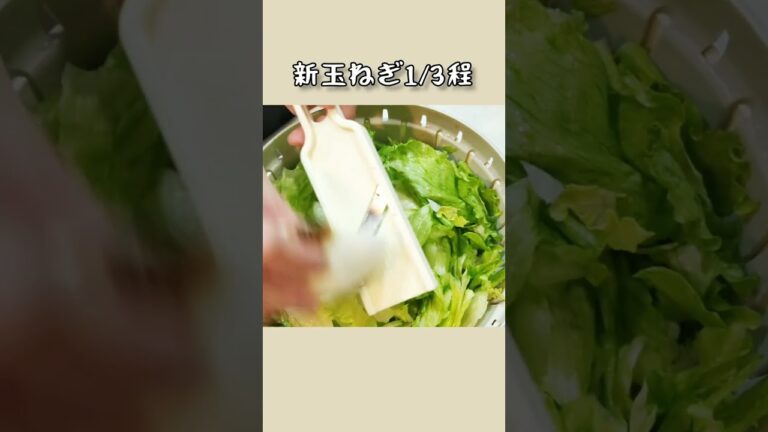 レタスが断然美味くなる│食物繊維レタス1個分【節約レシピ】