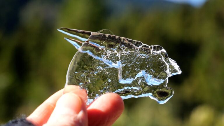 【60代からの田舎暮らし】#4都心から離れて自然と一緒に生きてみる「甘栗でメリークリスマス!」