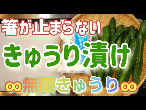 無限きゅうり【箸が止まらない！きゅうり漬けを作る！】#きゅうり#漬け物#レシピ