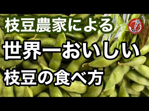 【世界一おいしい枝豆の食べ方】鹿倉農園