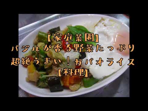 【家庭菜園】バジルが香る野菜たっぷり超絶うまい！ガパオライス【料理】