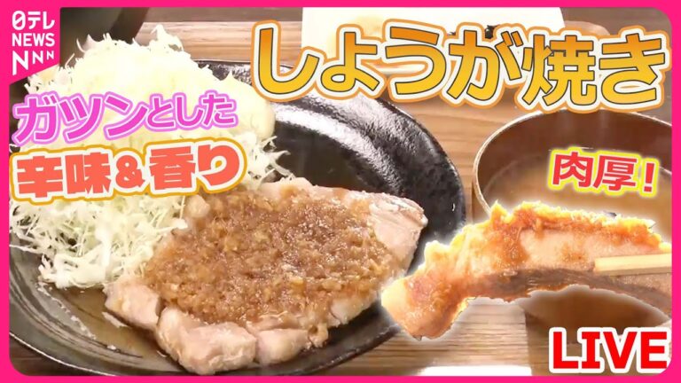 【生姜焼きまとめ】生姜焼き専門店！こだわりの一品 / 焼かずに揚げる生姜焼き / まるでステーキのような生姜焼き など（日テレNEWS LIVE）