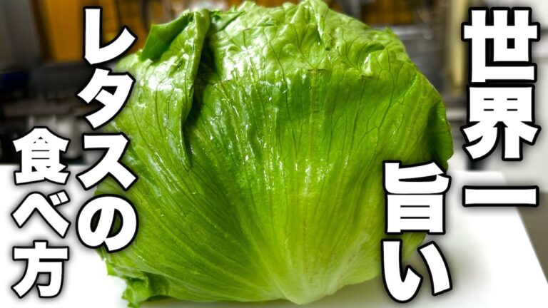 絶対に明日レタスを食べたくなります。材料2つだけ作る超簡単なレタスレシピ紹介します！