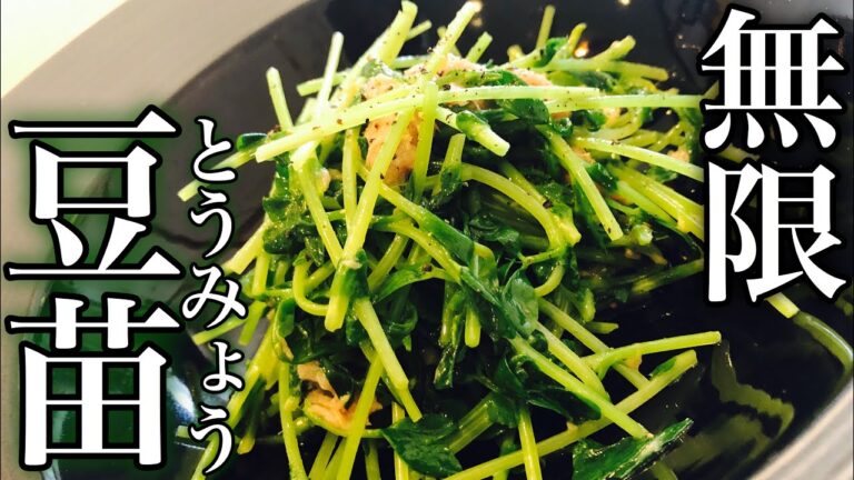 【レンジで簡単！】無限豆苗(とうみょう)の作り方 How to make mugen bean seedling 簡単おつまみ・居酒屋・ヘルシーダイエットレシピ