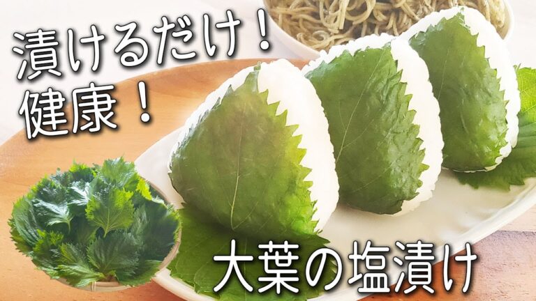【大葉の塩漬け】材料2つ！簡単！ 反則級にうまい！青 しそ の 万能漬け ！ 大量消費 にも 硬くなった 青 紫蘇 の救済 レシピ！ 大葉漬け を使った アレンジ3選 大葉 ジェノベーゼ  青 紫蘇