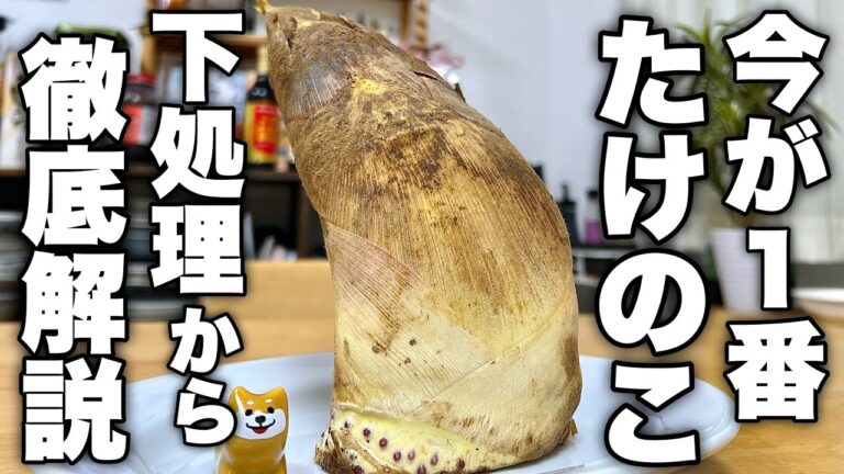 今食べなきゃ損です‼︎材料1つだからここまで美味しくなる【たけのこの土佐煮】の作り方！