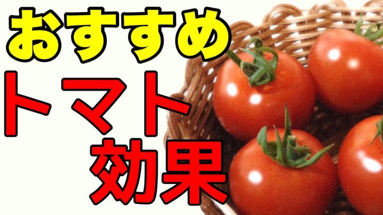 【トマトダイエット】栄養価と効果的な方法を解説！有名人も実践
