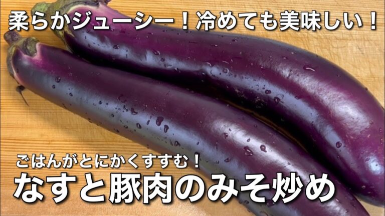 【簡単なすレシピ】ご飯がとにかくすすむ！なすと豚ひき肉のみそ炒めの作り方！なすも肉も柔らかジューシ！冷めても美味しい！お弁当にもどうぞ！