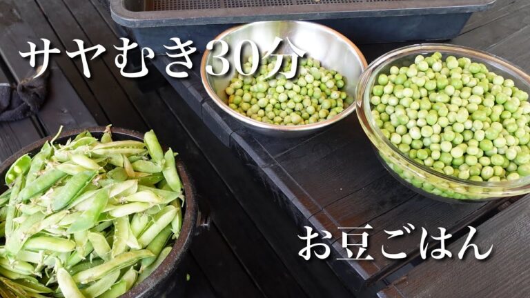 #19  菜園のお豆ごはん｜香りをアップさせるコツ｜子供味のハンバーグでひとりごはん