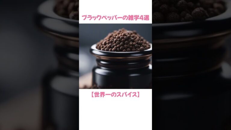 【ブラックペッパーの雑学４選】 #ブラックペッパー #香辛料 #雑学