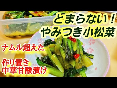 【やみつき小松菜】ちょっと驚く！小松菜の甘酢醤油漬け作り方 (漬物、作り置き、常備菜、簡単レシピ、無限小松菜、大量消費)