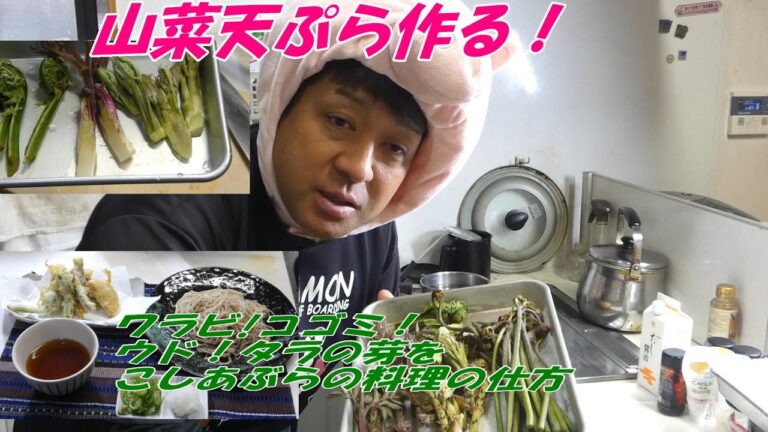 わらび、うど、タラの芽、こしあぶら、【天ぷらで食べる！】