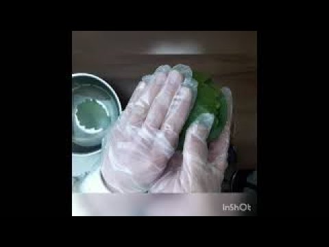 柏餅の葉はこの巻き方がオススメ