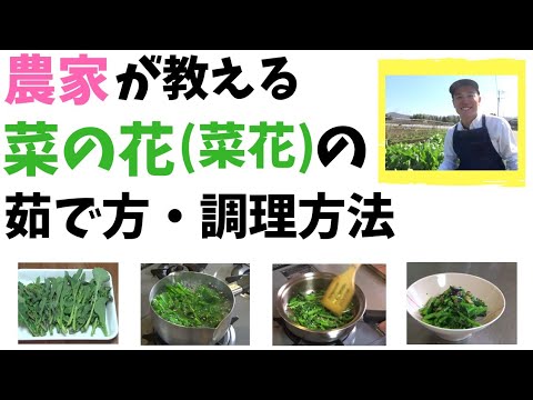 菜の花レシピや菜の花の茹で方、菜の花ってどのように料理したら良いのか説明動画【しゅうたの畑】