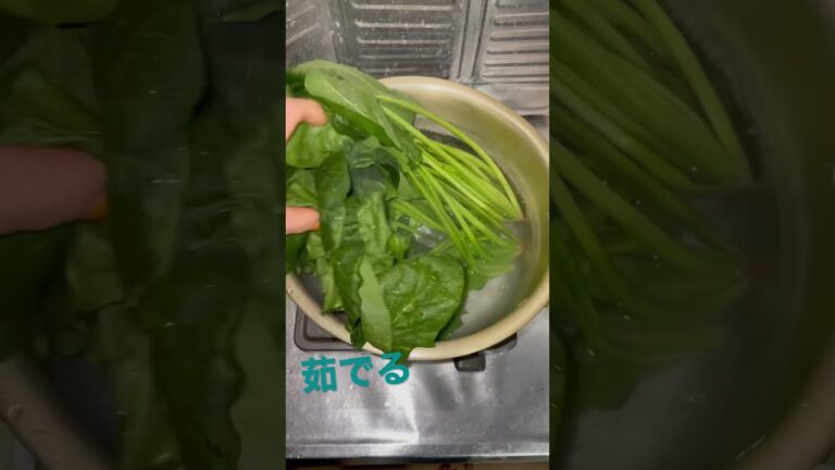 theダイエット食！お浸し🌀ほうれん草！えのき！とにかく茹でてグツグツ💨