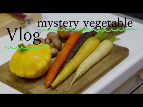 【VLOG】Op.1 初めての野菜に挑戦！UFOズッキーニって知ってる？