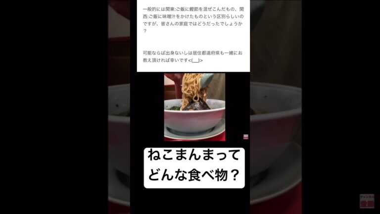 「ねこまんま」ってどんな食べ物？　#shorts