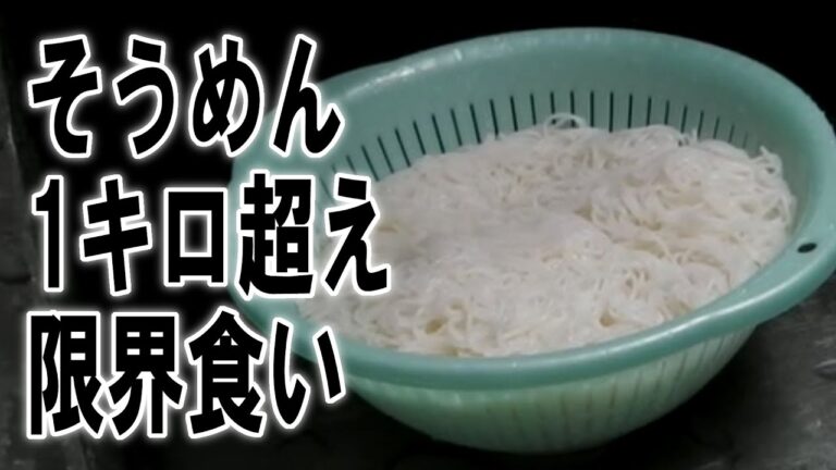 【大食いの限界】流水そうめんを1キロ以上食う【飯動画】【飯テロ】