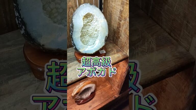 あなたは買える？超高級アボカド