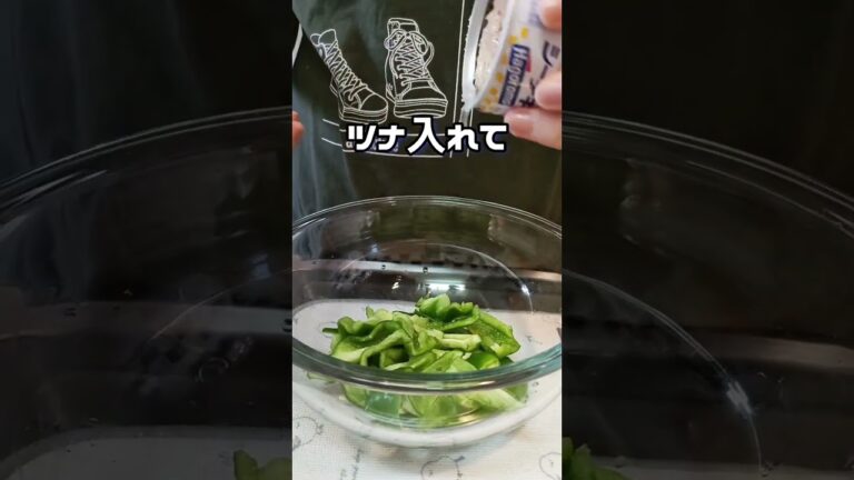 ダイエット中に毎日食べたくなるピーマン料理作ってみた💛