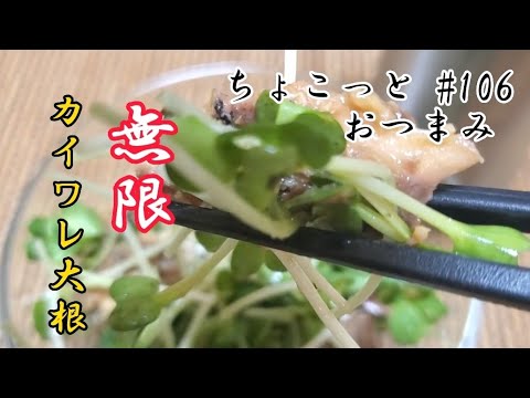 【ちょこっとおつまみ】超時短レシピ‼️カイワレ最高のつまみです❇️