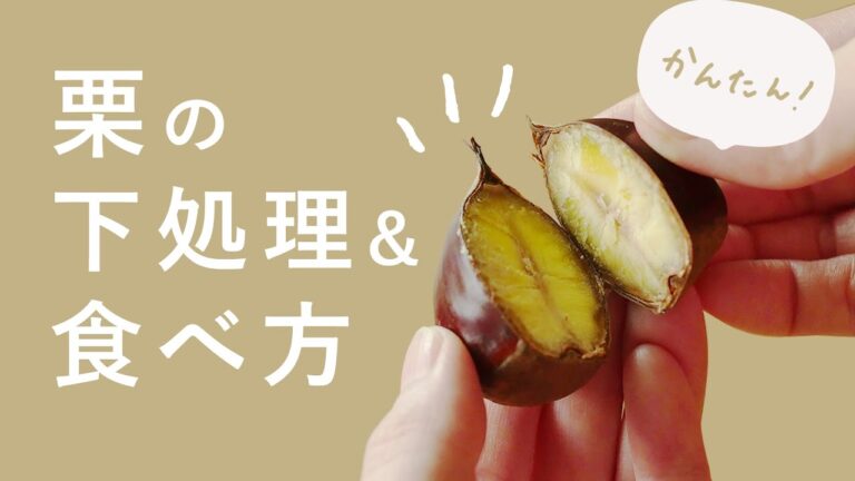 【栗の下処理】旬の味覚！栗の下処理とおいしい食べ方【どこよりも詳しく】