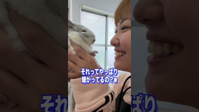 あみかのチューを全力で嫌がるわたちゃんが可愛すぎるwww