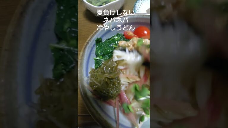ネバネバ食材が沢山入った、冷やしうどん