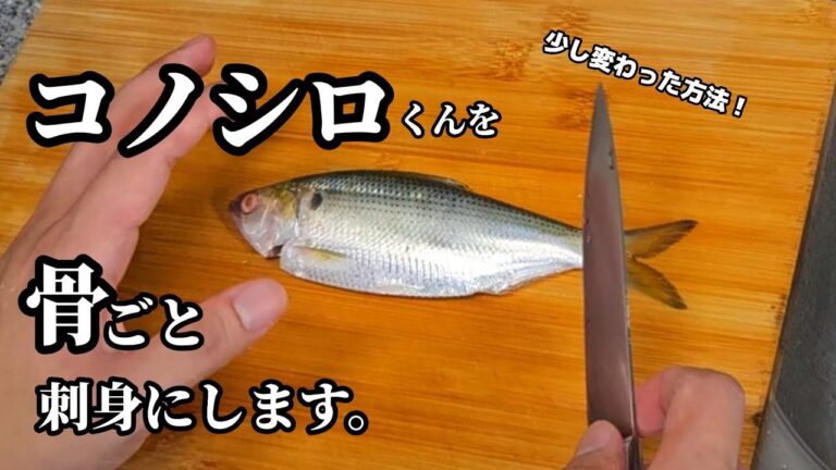 骨まで味わえる韓国式コノシロの刺身の切り方！噛みしめてチャミスルで流す！