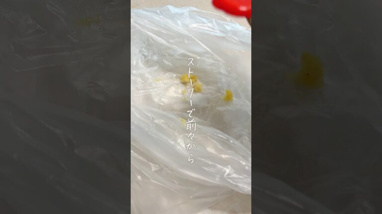 ついにできた！鶏むねの再現レシピ