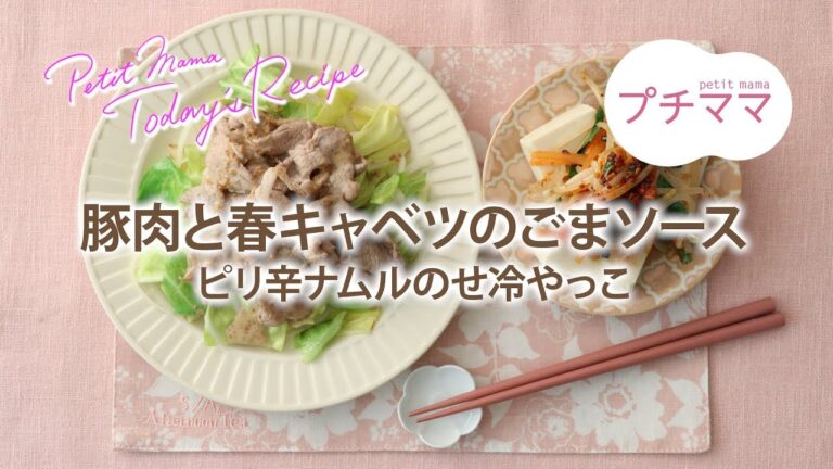 【プチママ♪ミールキット　2019/4/8】豚肉と春キャベツのごまソース・ピリ辛ナムルのせ冷やっこ