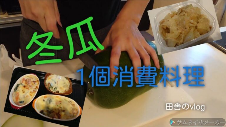 【シングルマザー田舎のvlog】やってみよ～冬瓜まるまる1個消費料理