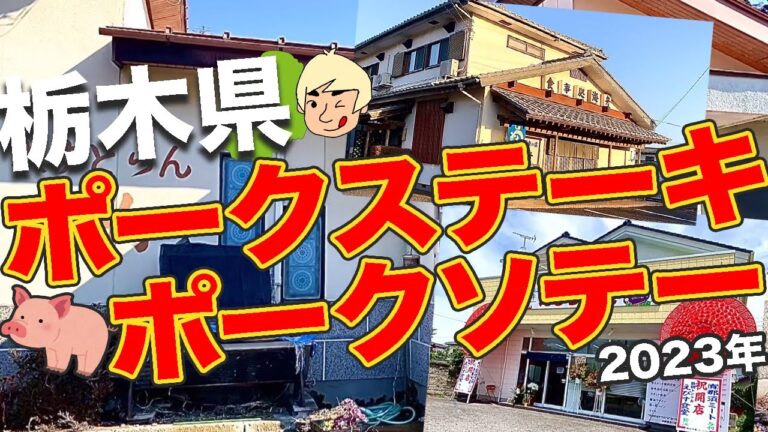 【ごはんが進む🍚】ポークステーキ・ポークソテーまとめ(2023年)【栃木グルメ/県北多め】