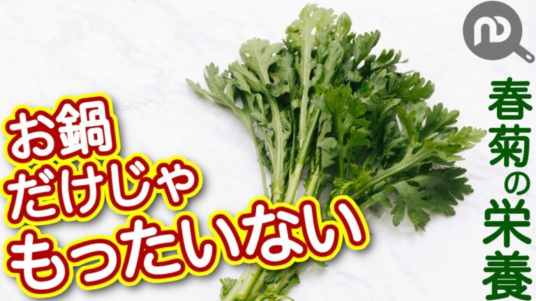 春菊が秘める栄養パワー！お鍋だけじゃもったいない！！N.D.Kitchen Wellness
