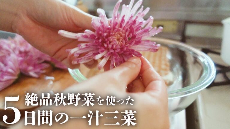 【1週間の晩ごはん】秋野菜をたっぷり使って野菜不足解消✨