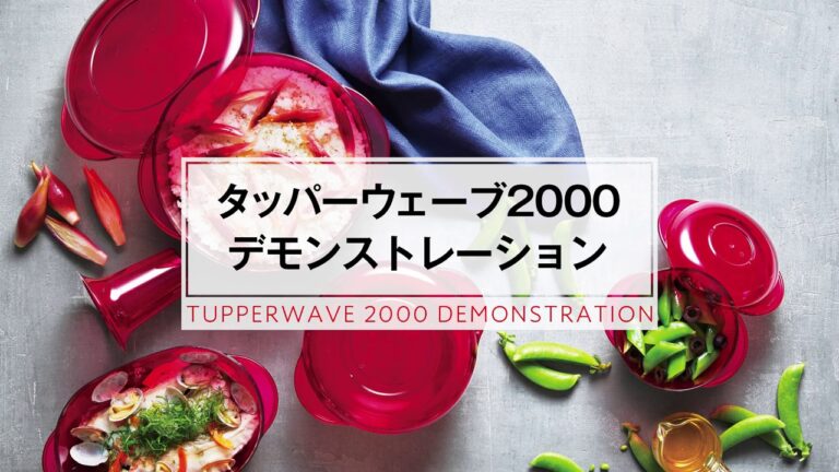 タッパーウェーブ2000デモンストレーション