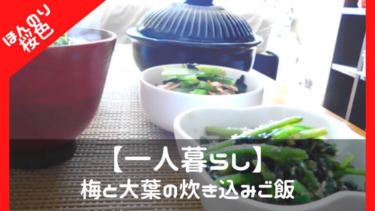 【一人の暮らし】夏に食べたい炊き込みご飯【ほんのり桜色の梅と大葉ご飯】