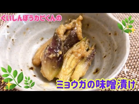 いっぱい採れたら‼️ミョウガの味噌漬け🌸くいしんぼうカピくん
