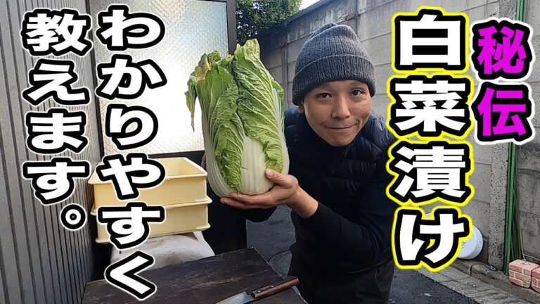 『白菜漬の作り方』Ver２.０　昔の動画をわかりやすくブラッシュアップしました！比べてみると面白いかも？