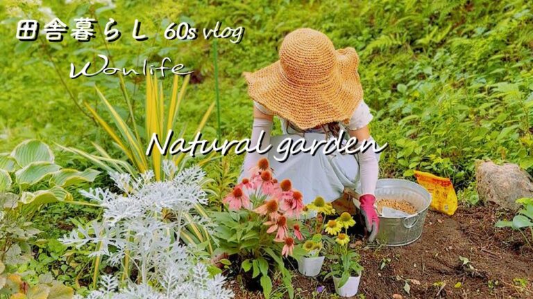 【田舎暮らし】60代|癒される森のガーデニング🌼ハンギングバスケット|家庭菜園|熱中症対策！夏のおすすめハーブティーとヘルシーBBQ|vlog