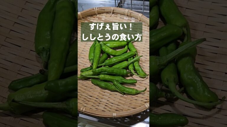 ヤバい！ビールも箸も止まらねぇ！ししとうの簡単おつまみレシピ 疲労回復 ダイエット