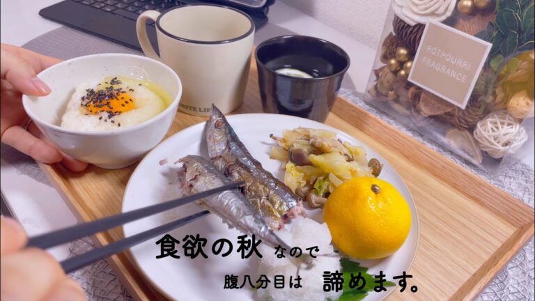 日常vlog［23］ついつい朝から食べてしまう｜週５で働く社会人の朝ごはんとお弁当