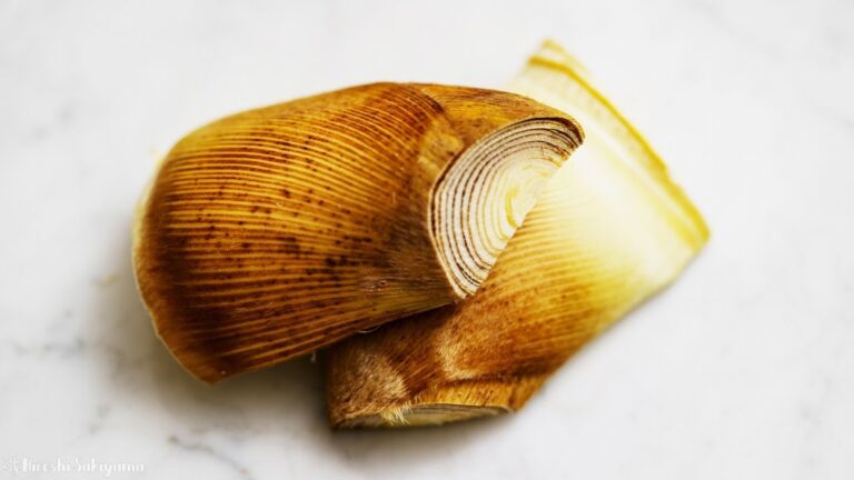 【水だけ・米ぬかなし】簡単なたけのこのアク抜きとたけのこ料理5種(たけのこご飯×2・若筍汁・土佐煮・焼きたけのこ) │ Bamboo shoot dishes