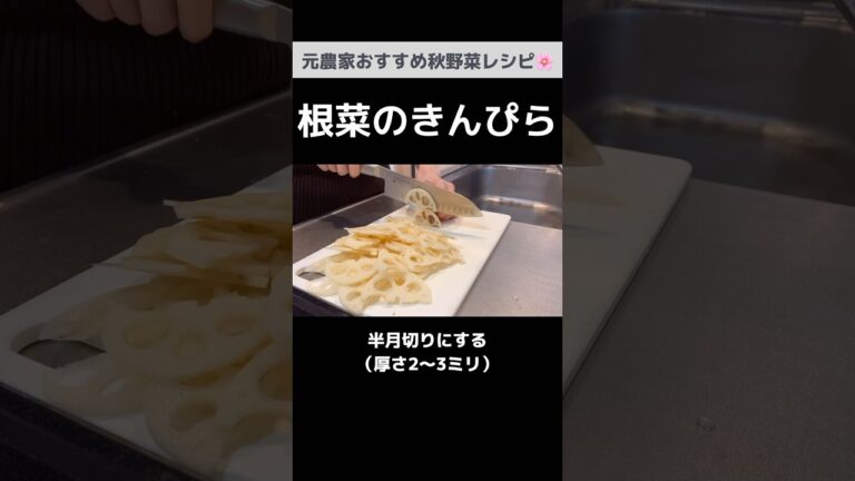 この秋ぜひ作って欲しい！生姜香る根菜のきんぴら｜旬を味わう秋野菜レシピ