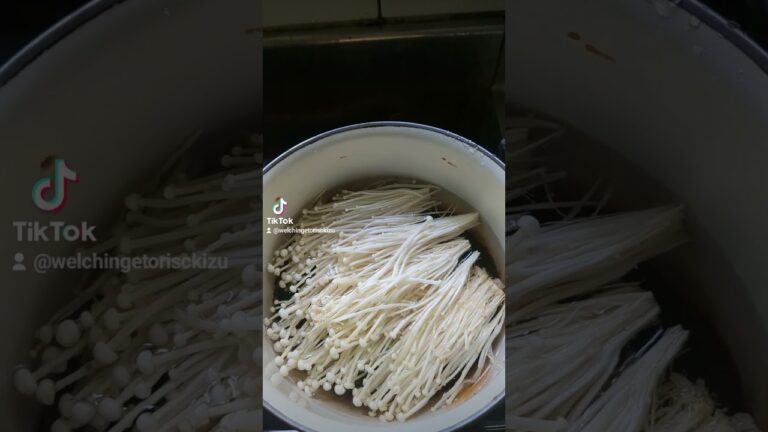 玉ねぎとエノキだけとエリンギの味噌汁作りました